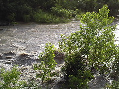 The Schoharie Creek At Burtonsville, NY On June 28, 2006.