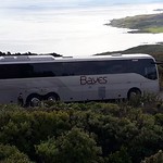 Bayes Tour Coach