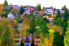 Seattle Housing - Miniature effect