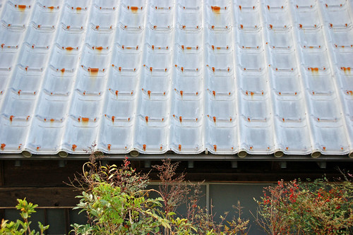 060409_Seichoji_roof