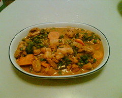 Chicken Curry 09
