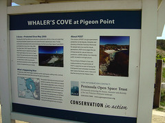 Whaler's Cove History