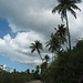 One of the finer roads, Western Vieques