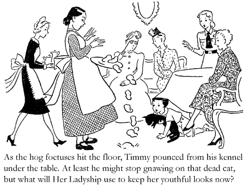 As the hog foetuses hit the floor, Timmy pounced from his kennel under the table. At least he might stop gnawing on that dead cat, but what will Her Ladyship use to keep her youthful looks now?
