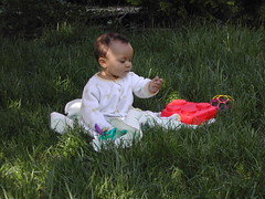 Playing in the wild, untamed meadow that we call our front lawn
