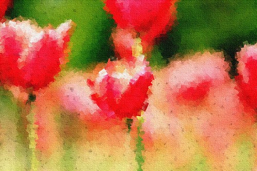 Red tulips with a cubist painting effect :)