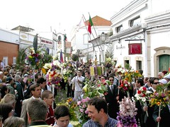 Festival of flowers, São Brás de Alportel (Portugal), 16-Apr-06