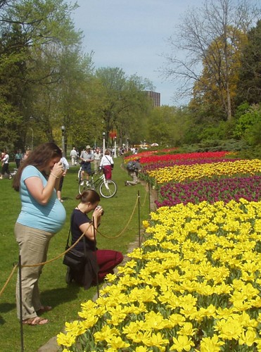 Jenn and Jule Ann photographing tulips