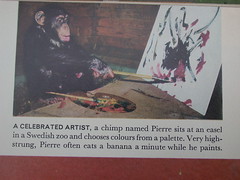 pierre the art monkey