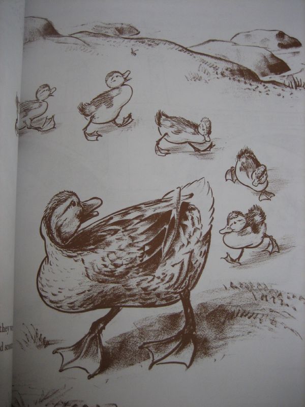 Make way for ducklings (1)