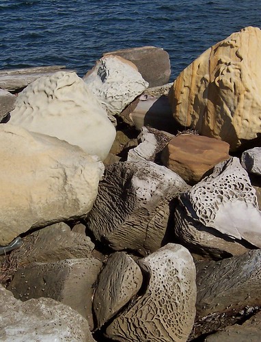 Rocks at Gosford Wharf