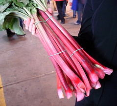 pink rhubarb, Jean-Talon Market