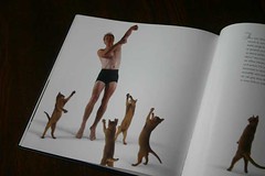 dancingwithcats-005