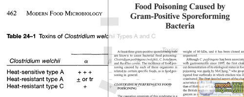 食物中毒——现代食品微生物学