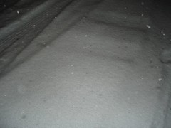 Snow (1)