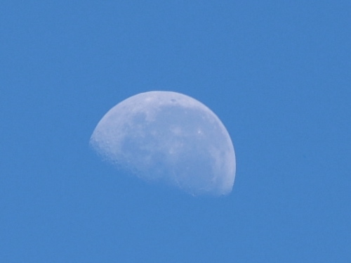 morning moon, today