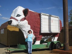 Giant cow at the Mule Trading Post