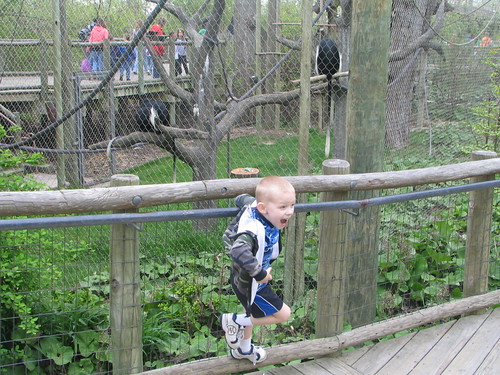 colton monkeying around with the monkeys