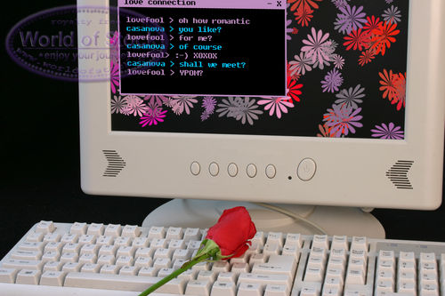 Online love affair - virtual red rose Stock Photography by Steve Smith