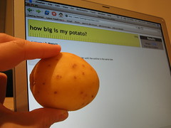 Potato being measured