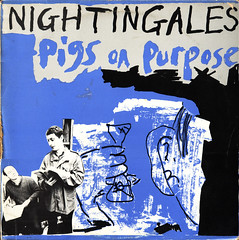 nightingales | pigs on purpose