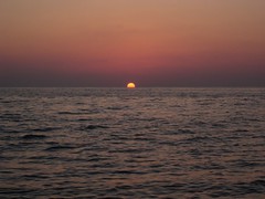 Sunset in Sargasso sea