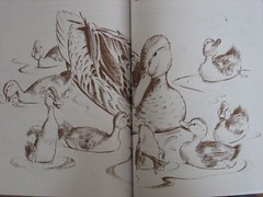 Make way for ducklings (2)