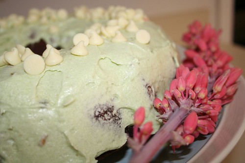 pistachio bundt cake, side