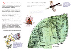 British Energy/Wildlife Trust leaflet (interior)