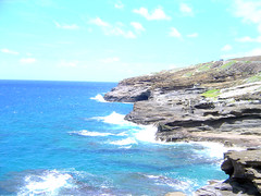 Hawaii Coast