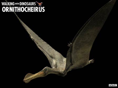 ornithocheirus