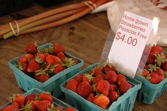 Fresh Strawberries and Rhubarb