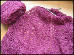 Paisley shawl thing progress