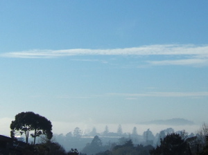 morning mist 2
