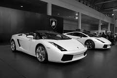 Lamborghini's at the Toronto Auto Show