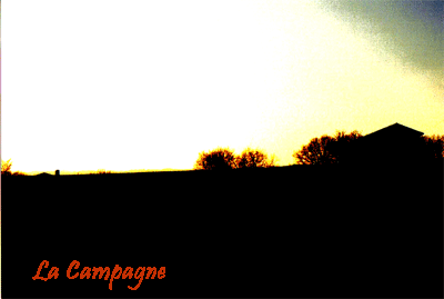 campagnew