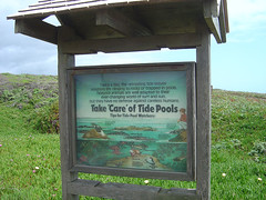 Tide Pools Sign