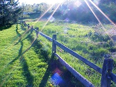 sunray fence SC