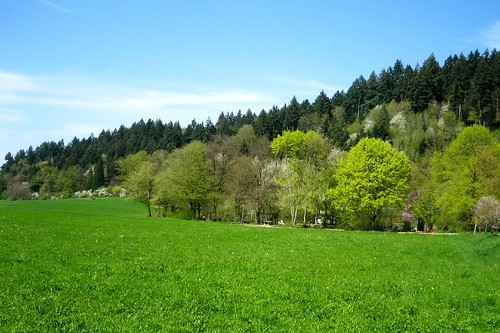Günterstal landscape in April