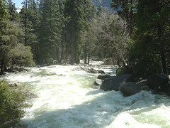 Yosemite Fall Creek