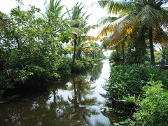 Backwater Tour near Cochin, Kerala