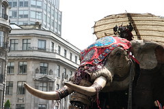 Elephant heads towards Piccadilly Circus