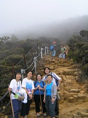 The Mersilau Trail joins the Timpohon Trail about 2 km before Laban Rata