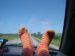 Socks Enjoy Scenery