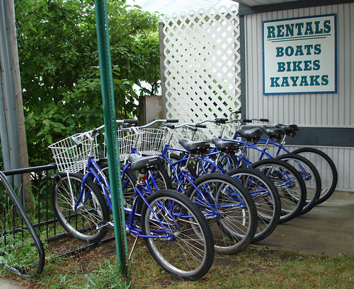 Comfort Bikes for Rent