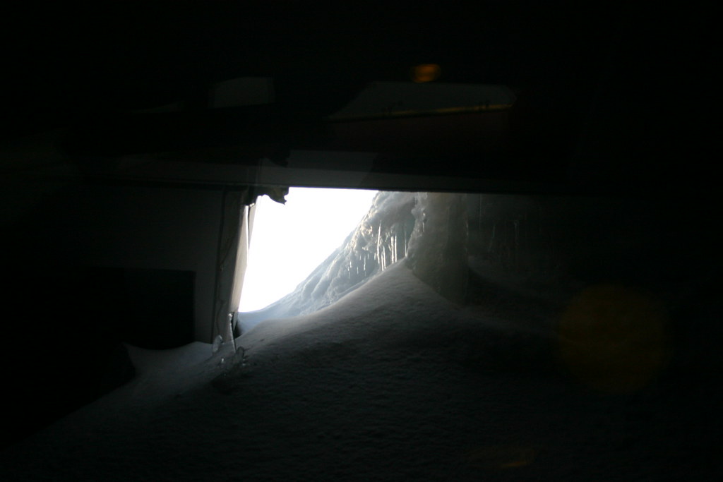 Peeking through a hole in the snow.