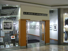 s.f. black & white gallery