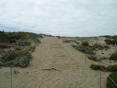 Way to Moss Landing Beach
