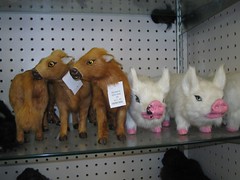 Scary stuff for sale at ozarkland