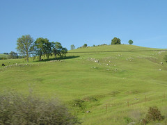 Highway 49 - Green Hills